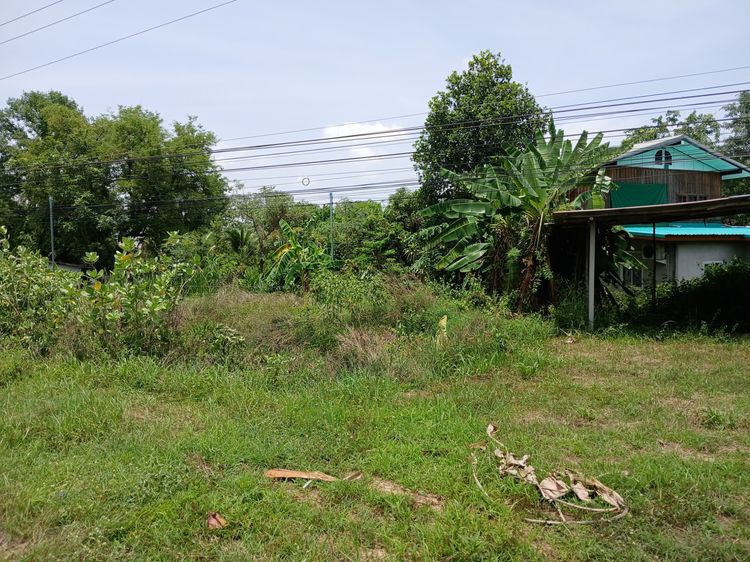 ขายที่ดิน รูปที่ 2