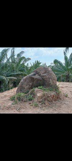 ขายที่ดินบนเขา ริมหน้าผา  ติดทะเล ไร่ละ4ล้านห้าแสน จำนวน3ไร่