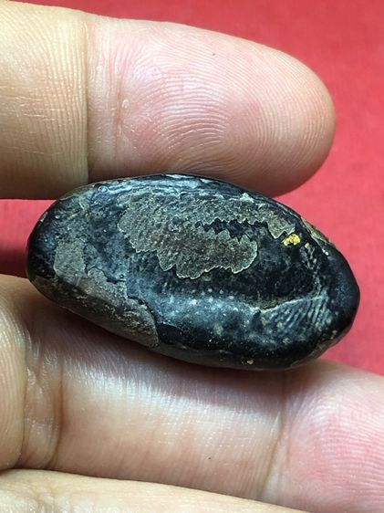 พระปิดตาพ่อแก้วพิมพ์ใหญ่ รูปที่ 7