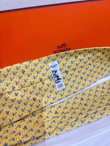HERMES  รูปที่ 7