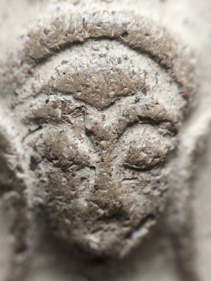 พระขุนแผนสุพรรณบุรีครับ รูปที่ 5