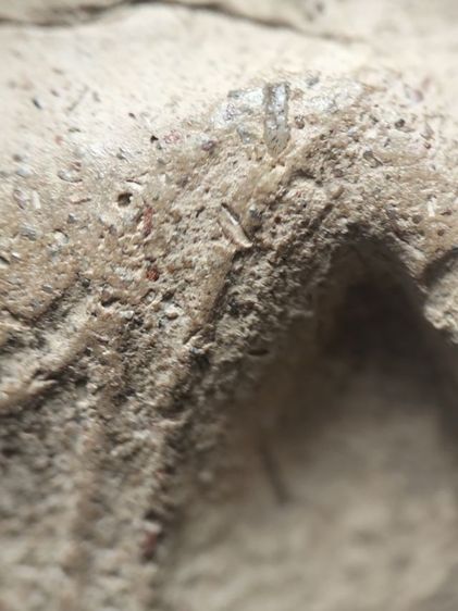 พระขุนแผนสุพรรณบุรีครับ รูปที่ 12