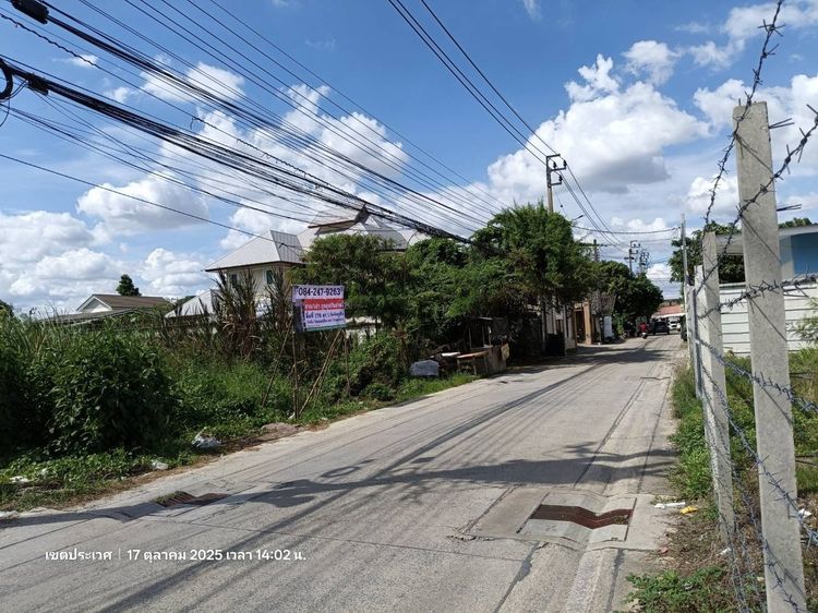 ขายด่วนที่ดินแปลงสวย อ่อนนุช 66 ใกล้ BTS ทิศใต้แปลงมุม 176 ตรว ตรวละ 42,000 บาท เหมาะปลูกบ้านโฮมทาวน์ปลูก บ้าน ออฟฟิคโกดัง ทำสวนเล็กๆปล่อยให