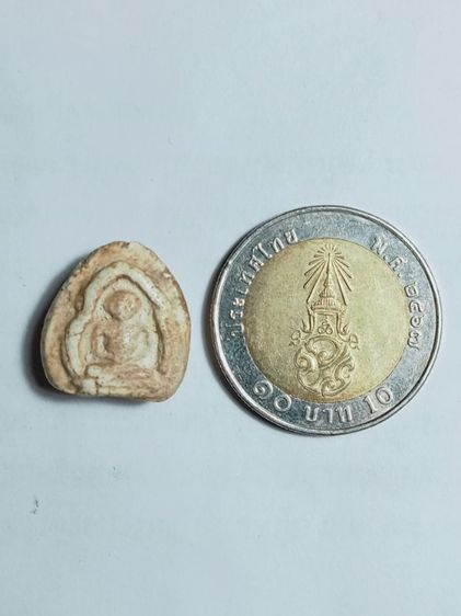 พระสังกัจจายน์หลวงปู่ภู รูปที่ 7