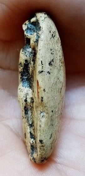 พระเก่า ผ่านการใช้ รูปที่ 5