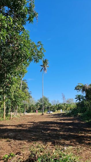 ที่ดินสวยใกล้ทะเล แหลมแม่พิมพ์ระยอง รูปที่ 3