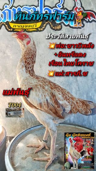หลานมหานคร รูปที่ 6