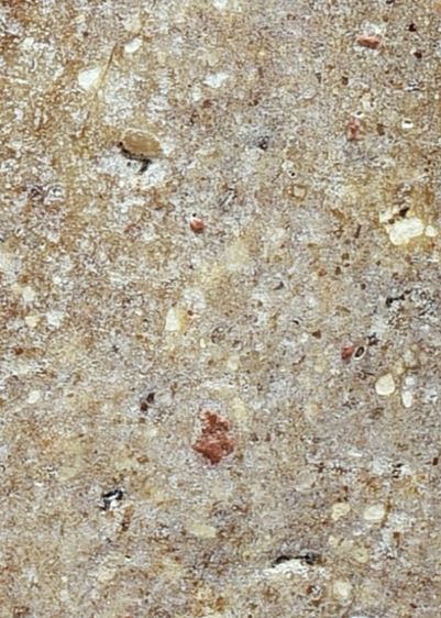 สวยแชมป์ พระสมเด็จวัดระฆัง พิมพ์ใหญ่ เนื้อมีมวลสาร เก่า  รูปที่ 8