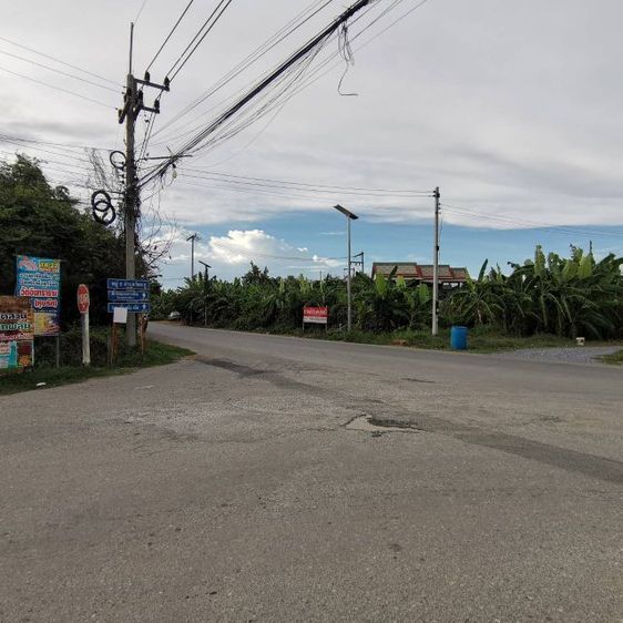 ที่ดินเปล่า 6ไร่ 2งาน 48 ตรว.  รูปที่ 3