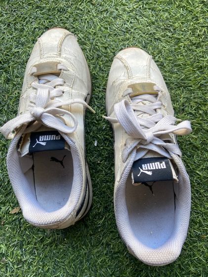 รองเท้า puma รูปที่ 6