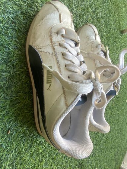 รองเท้า puma รูปที่ 3