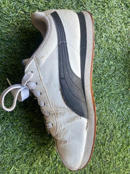 รองเท้า puma รูปที่ 7