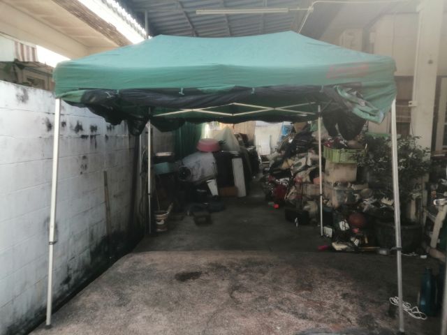 coleman รูปที่ 4