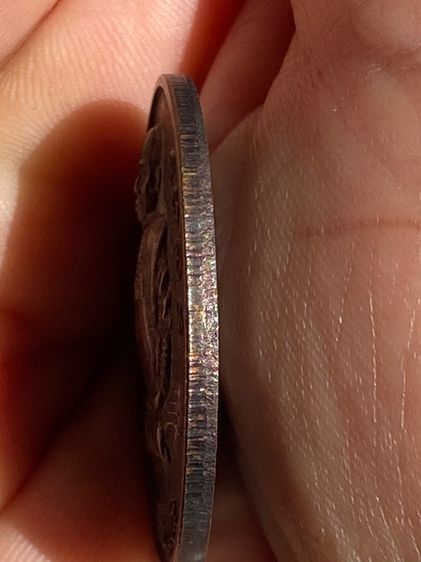 หลวงพ่อเสือดำ รุ่นอายุยืน รูปที่ 6