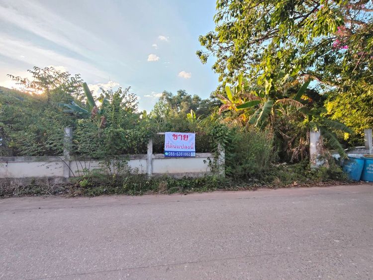 ขายที่ดินเปล่า ถมแล้ว เหมาะสำหรับสร้างบ้านพักตากอากาศ ลงทุน หรือทำธุรกิจอื่นๆ ใกล้ชายหาดแหลมแม่พิมพ์ 500ม. ผังเมือง EEC รูปที่ 2