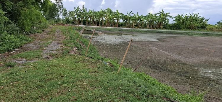 ขายที่ดินเปล่า นครนายก 2 ไร่ 3 งาน ติดชลประทาน ใกล้ตัวเมือง เหมาะทำเกษตรบ้านสวน