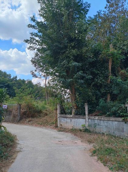 ที่ดิน 200 ตารางวา ใกล้ปั้มเชลสี่แยกมาบข่า