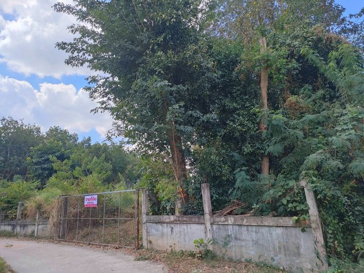 ที่ดิน 200 ตารางวา ใกล้ปั้มเชลสี่แยกมาบข่า รูปที่ 2