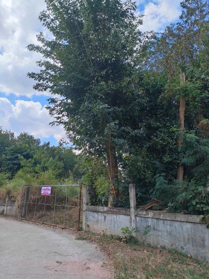 ที่ดิน 200 ตารางวา ใกล้ปั้มเชลสี่แยกมาบข่า รูปที่ 3