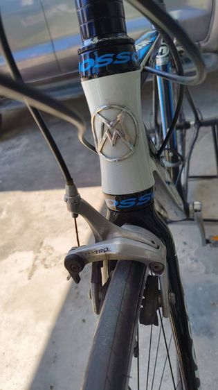 เสือหมอบ รูปที่ 7