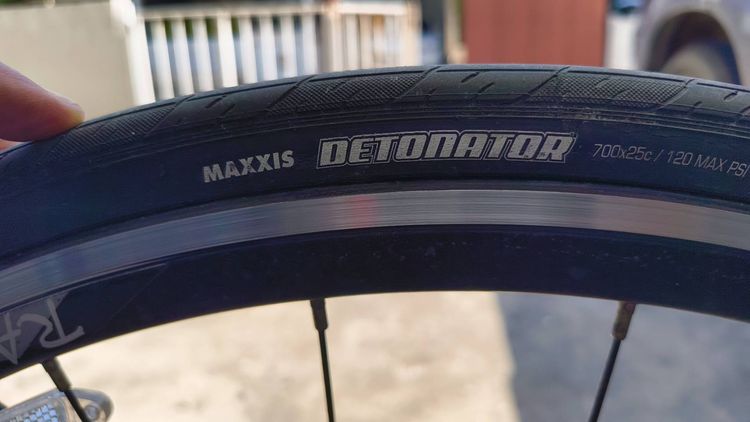 เสือหมอบ รูปที่ 8