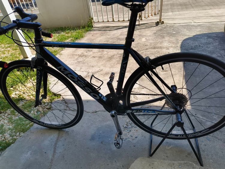 เสือหมอบ