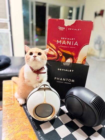 Devialet Mania Opera รูปที่ 9