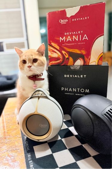 Devialet Mania Opera รูปที่ 8