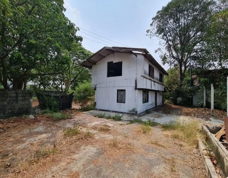 บ้านเดี่ยว+ที่ดินเปล่า เสรีไทย 50 เนื้อที่ 1 ไร่ 82 ตรว. รูปที่ 2