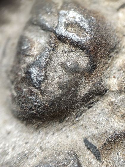 พระเนื้อชินนาน้อยจังหวัดน่านครับ รูปที่ 11