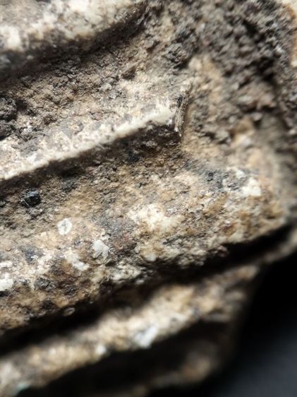 ❌ปิดครับ❌พระสมเด็จปรกโพธิ์ครับ รูปที่ 13