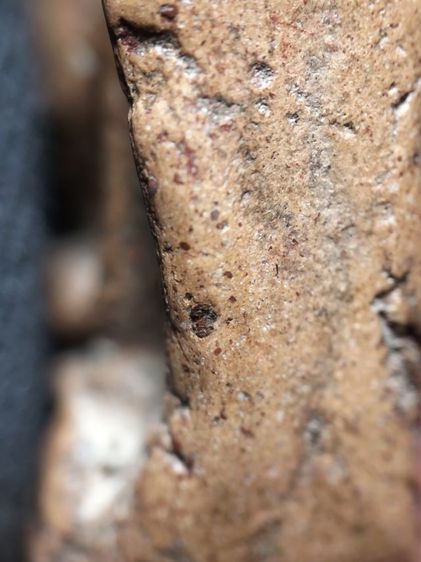 ❌ปิดครับ❌พระกำแพงซุ้มกอเนื้อดินครับ รูปที่ 15