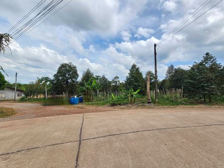 ขายที่ดินพร้อมสวนผลไม้ 5 ไร่  อำเภอนายายอาม จันทบุรี