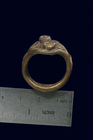 แหวนงู รูปที่ 5