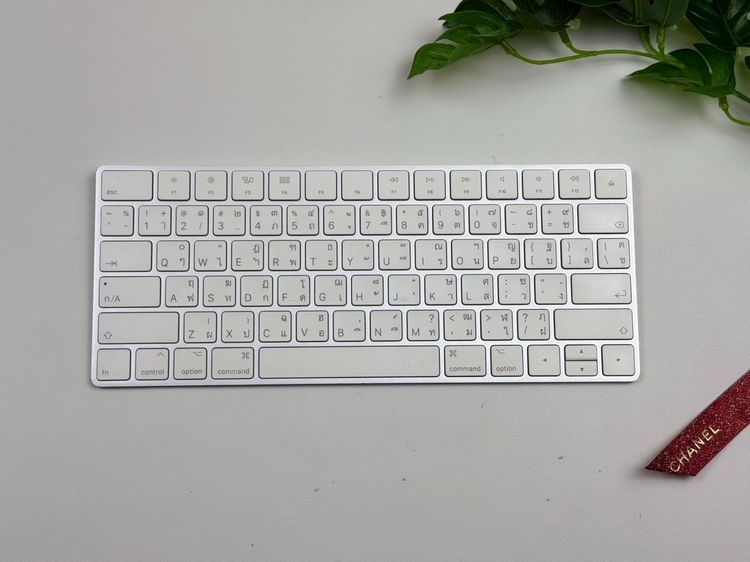 Apple Magic Keyboard2 (Lightning)