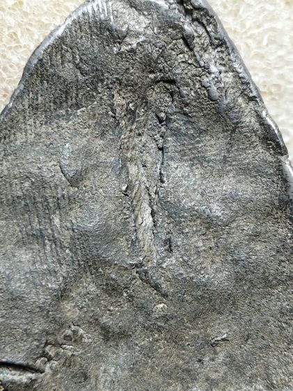 พระลีลาเนื้อชินครับสุโขทัย รูปที่ 14