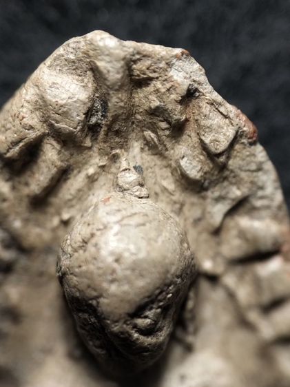 พระรอดลำพูนพิมพ์ใหญ่เนื้อขาวครับ รูปที่ 14