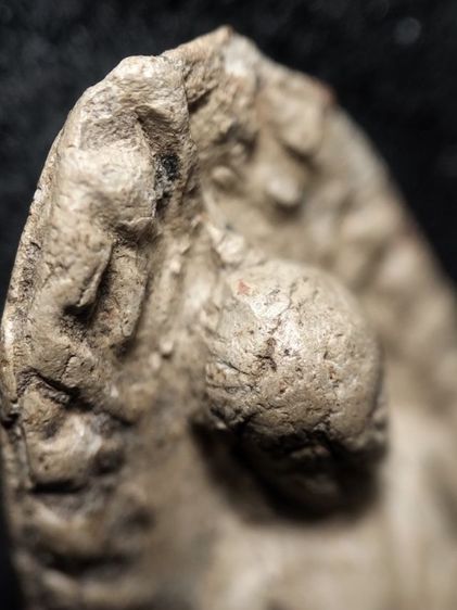 พระรอดลำพูนพิมพ์ใหญ่เนื้อขาวครับ รูปที่ 15