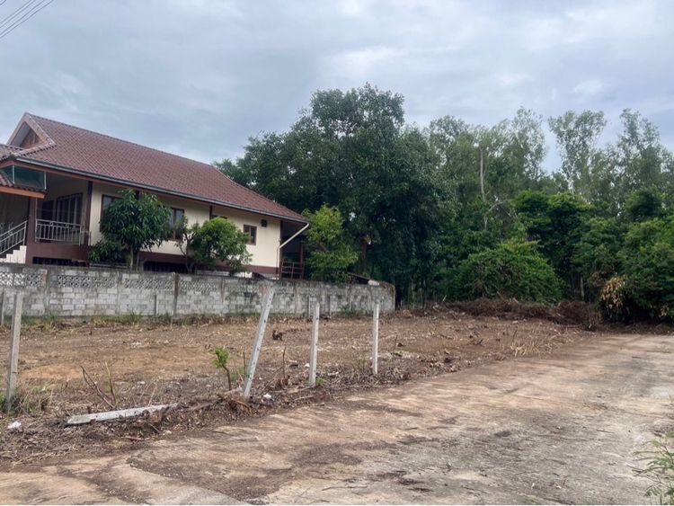 ขายที่ดินติดลำตะคอง รูปที่ 4