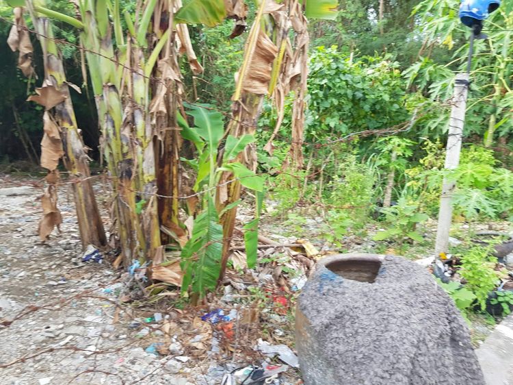 ที่ดินเปล่า ซอยกำนันแม้น 14 ทับ 1 รูปที่ 2