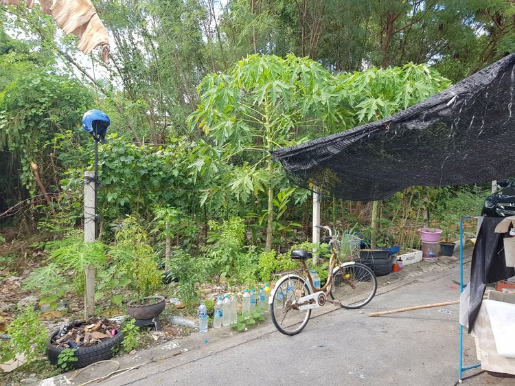 ที่ดินเปล่า ซอยกำนันแม้น 14 ทับ 1