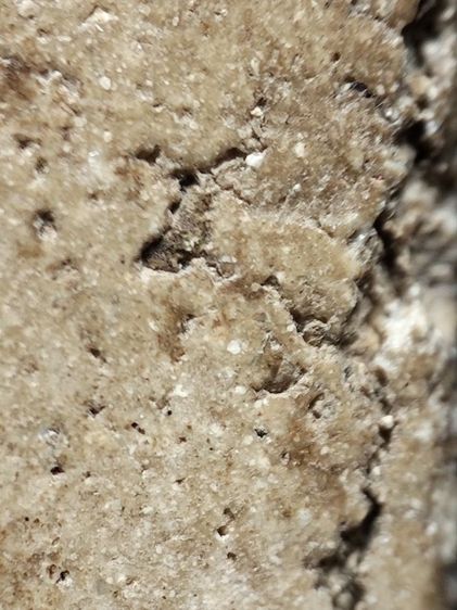 พระสมเด็จครับ รูปที่ 14