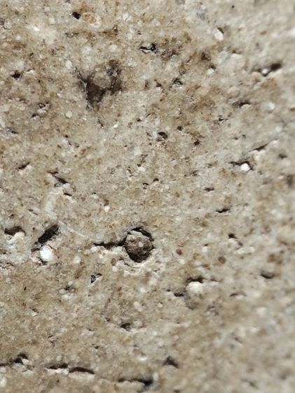 พระสมเด็จครับ รูปที่ 15