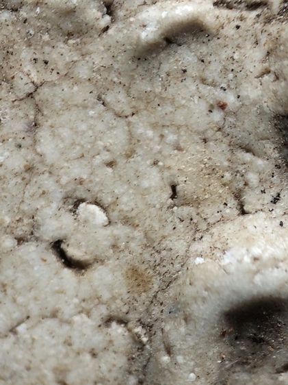 พระสมเด็จครับ รูปที่ 12