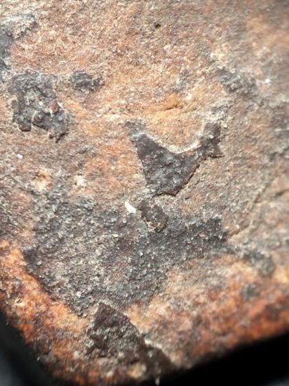 พระเนื้อผงหลวงปู่เผือกครับ รูปที่ 10