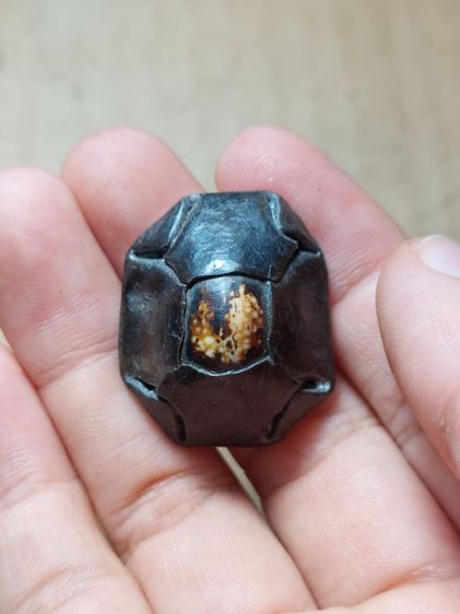 เครื่องรางเบี้ยแก้อาจารย์เที่ยงน่วมมานา