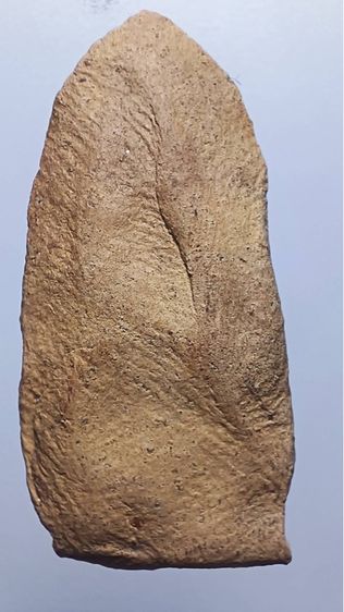 พระรอดพิมพ์ใกญ่8 รูปที่ 14