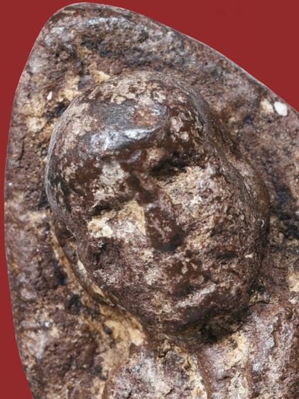 ✅เนื้อแห้ง คราบน้ำว่าน เก่ามาก ให้เช่าบูชา พระบ้าน พระหลวงปู่ทวด เนื้อว่าน ปี 2497 พิมพ์ใหญ่ 