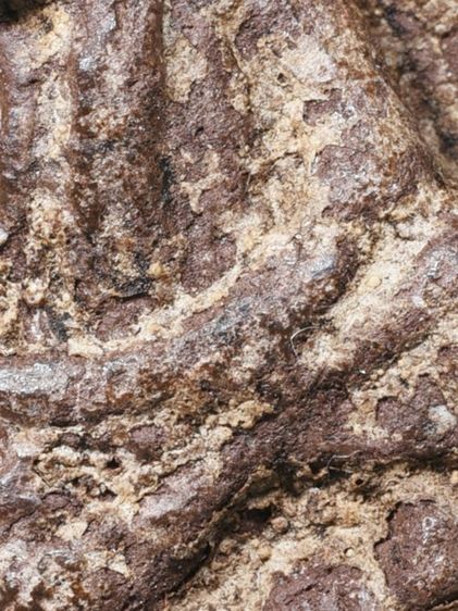 ✅เนื้อแห้ง คราบน้ำว่าน เก่ามาก ให้เช่าบูชา พระบ้าน พระหลวงปู่ทวด เนื้อว่าน ปี 2497 พิมพ์ใหญ่  รูปที่ 3