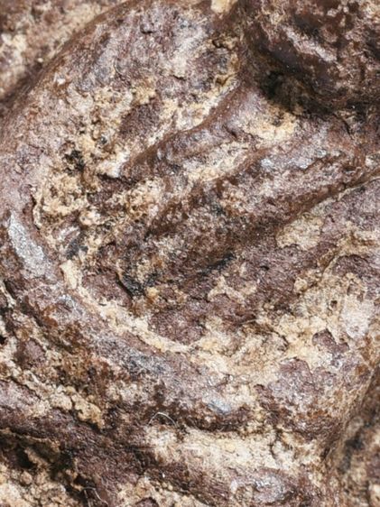 ✅เนื้อแห้ง คราบน้ำว่าน เก่ามาก ให้เช่าบูชา พระบ้าน พระหลวงปู่ทวด เนื้อว่าน ปี 2497 พิมพ์ใหญ่  รูปที่ 16